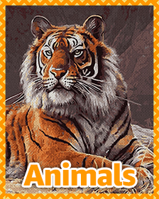 Animals