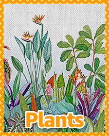 Plants