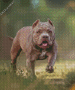 American Bully Diamond Painting