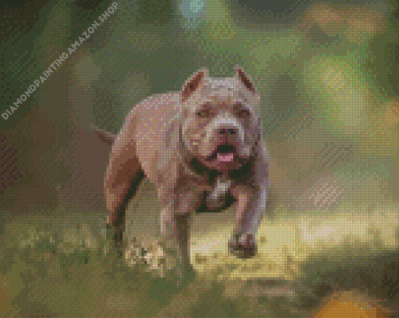 American Bully Diamond Painting