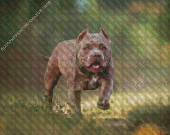 American Bully Diamond Painting