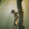 Baby Baboon In Tree Diamond Painting