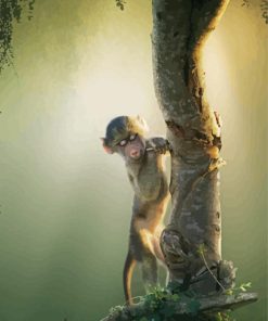 Baby Baboon In Tree Diamond Painting