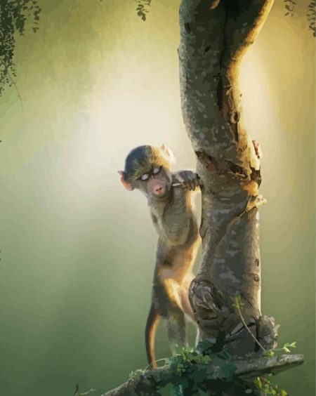Baby Baboon In Tree Diamond Painting