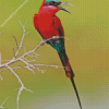 Colorful Southern Carmine Bee Eater Diamond Painting