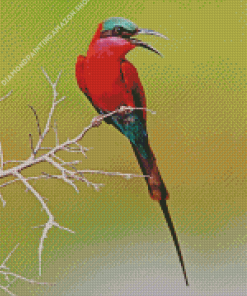 Colorful Southern Carmine Bee Eater Diamond Painting