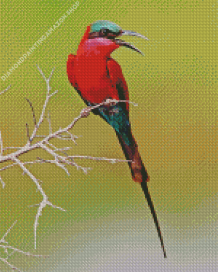 Colorful Southern Carmine Bee Eater Diamond Painting
