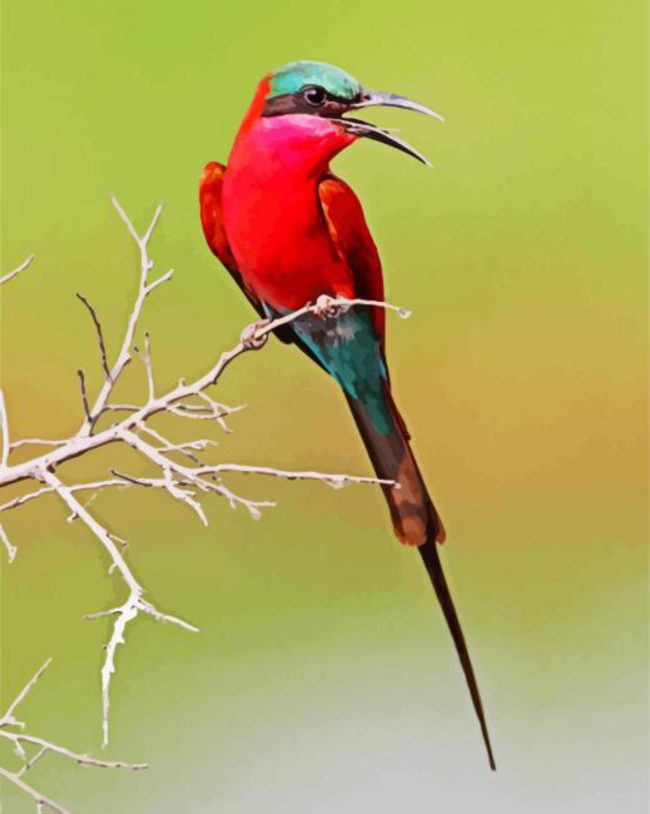 Colorful Southern Carmine Bee Eater Diamond Painting