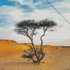 Dried Sahara Tree Diamond Painting