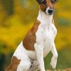 Fox Terrier Diamond Painting