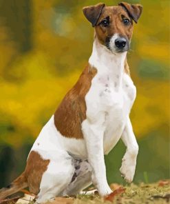 Fox Terrier Diamond Painting