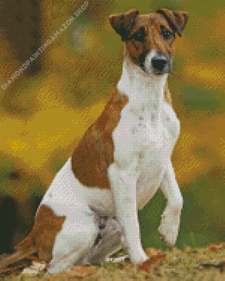 Fox Terrier Diamond Painting