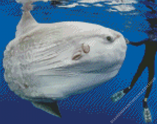 Giant White Fish Diamond Painting