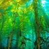 Kelp Forest Underwater Diamond Painting