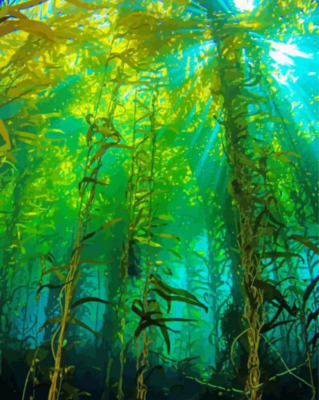 Kelp Forest Underwater Diamond Painting