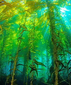 Kelp Forest Underwater Diamond Painting