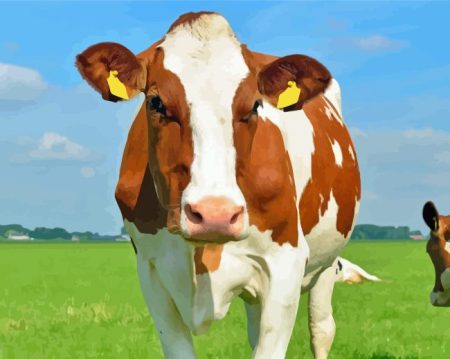 Red and White Holstein Diamond Painting