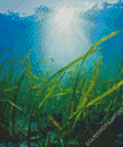 Seagrass Plant Diamond Painting