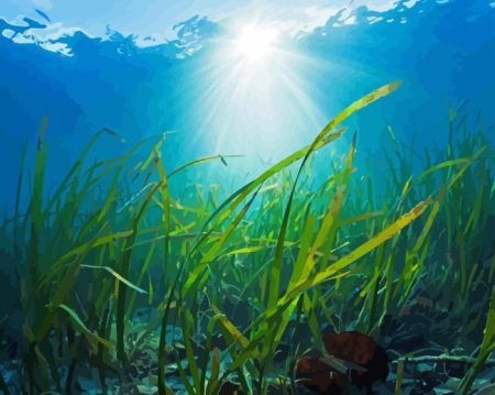 Seagrass Plant Diamond Painting