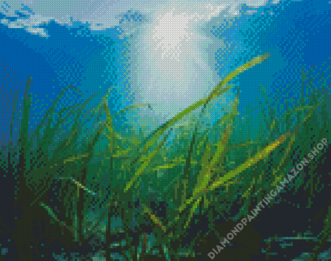 Seagrass Plant Diamond Painting