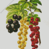 White Red And Black Currant Art Diamond Painting