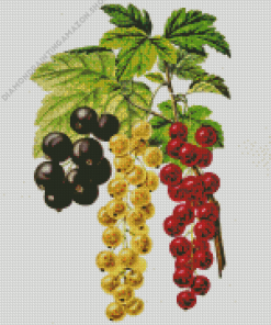 White Red And Black Currant Art Diamond Painting