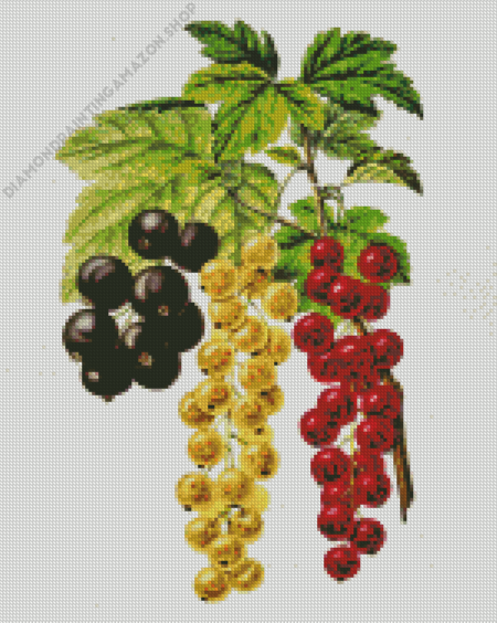 White Red And Black Currant Art Diamond Painting