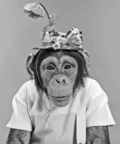 Black And White Monkey And Floral Hat Diamond Painting