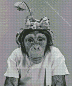 Black And White Monkey And Floral Hat Diamond Painting