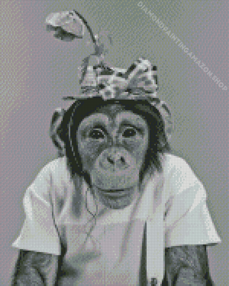 Black And White Monkey And Floral Hat Diamond Painting