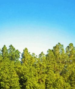 Blue Sky Green Trees Diamond Painting