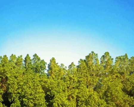 Blue Sky Green Trees Diamond Painting