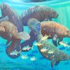 Manatees And Fish In Sea Diamond Paintings