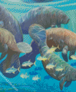 Manatees And Fish In Sea Diamond Paintings