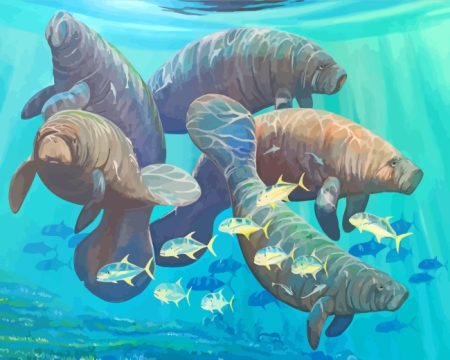 Manatees And Fish In Sea Diamond Paintings