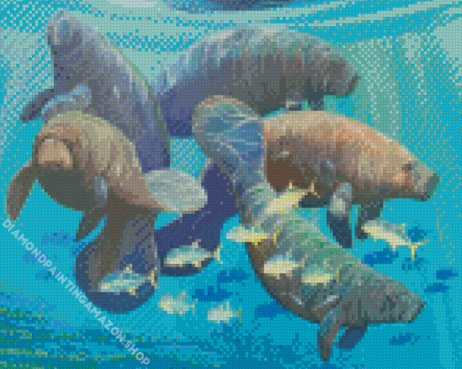 Manatees And Fish In Sea Diamond Paintings