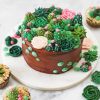 Succulent dessert cake Diamond Paintings