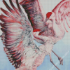 Two Sandhill cranes Birds Diamond Paintings