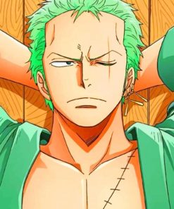 Zoro One piece Diamond Paintings