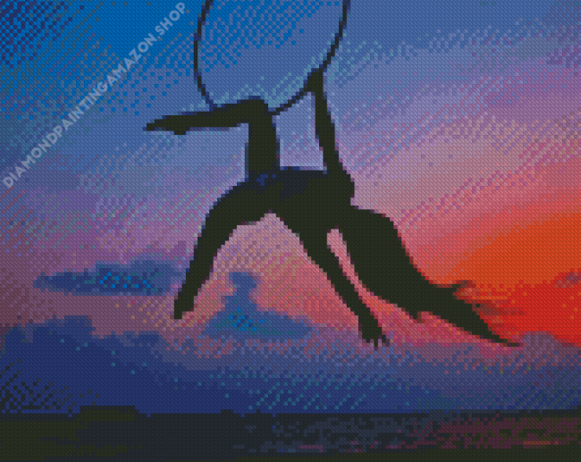 aerial silks Silhouette Diamond Paintings