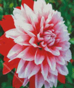 aesthetic Dahlia Diamond Paintings