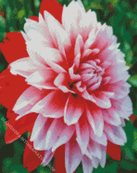 aesthetic Dahlia Diamond Paintings