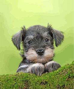 cute schnauzer Diamond Paintings