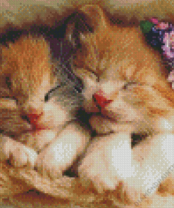 sleeping kittens Diamond Paintings