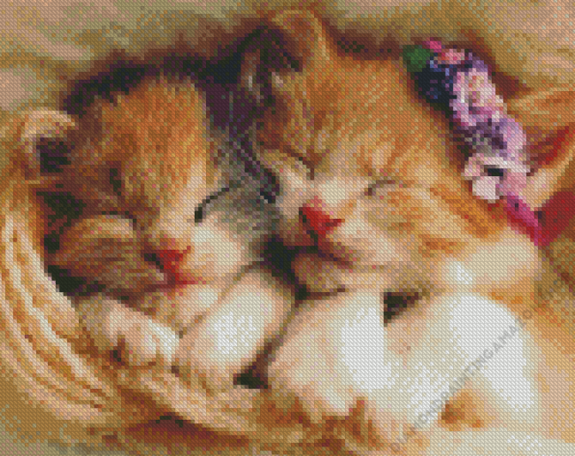 sleeping kittens Diamond Paintings