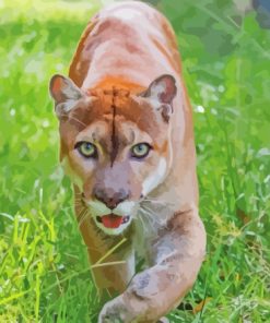 wild florida panther Diamond Dotz