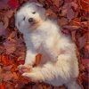 Adorable Great Pyrenees Diamond Painting