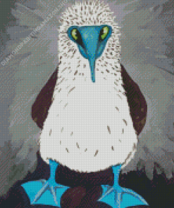 Aesthetic Blue Footed Booby Diamond Painting