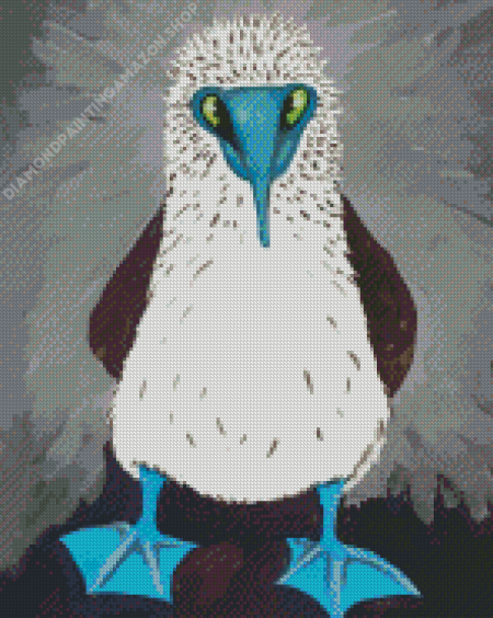 Aesthetic Blue Footed Booby Diamond Painting