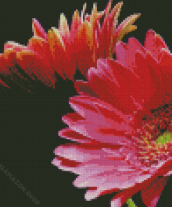 Aesthetic Floral With Black Background Diamond Painting